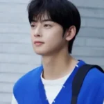 cha eun-woo penggelapan pajak