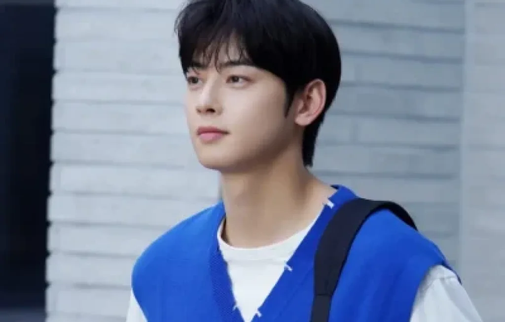 cha eun-woo penggelapan pajak
