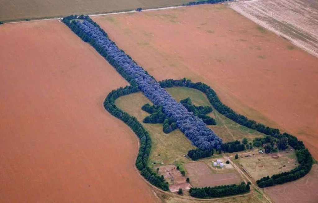 Kebun Gitar Raksasa Kebun Gitar Raksasa