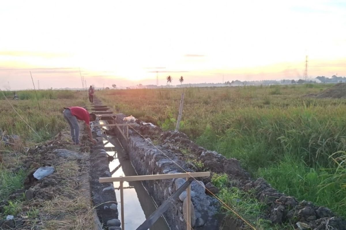 Petani Petani
