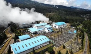 Laba Bersih Pertamina Geothermal Energy Laba Bersih Pertamina Geothermal Energy