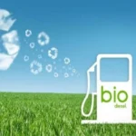 Pengembangan Biofuel
