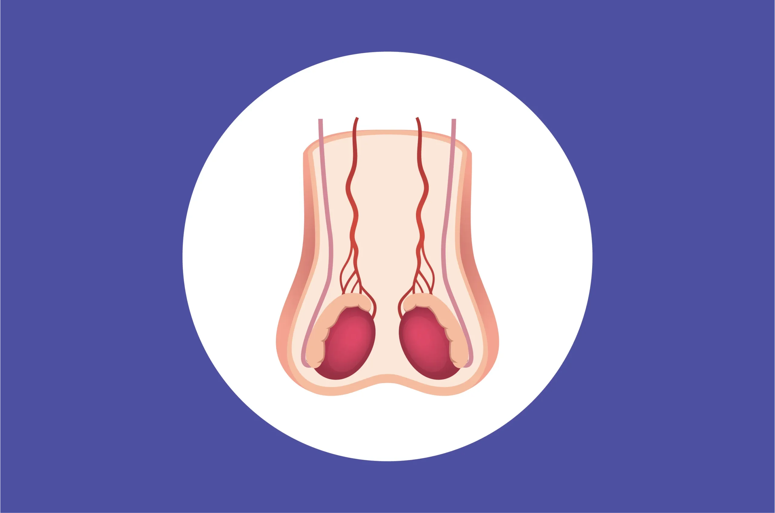 Testosteron Rendah