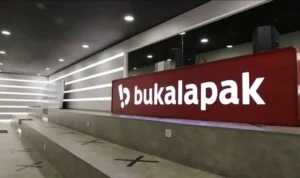 Pendapatan Bukalapak